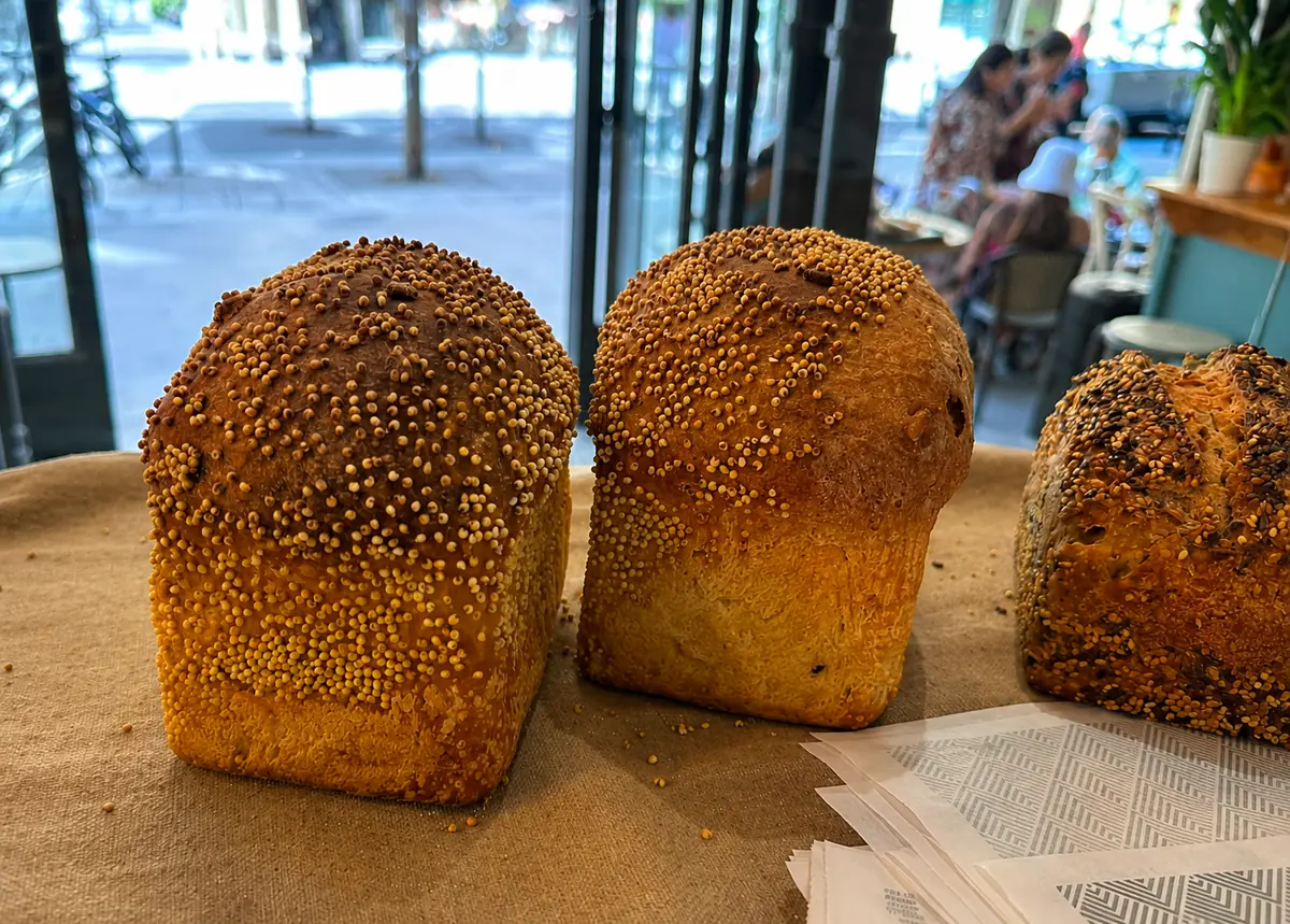 Boulangerie & Pains